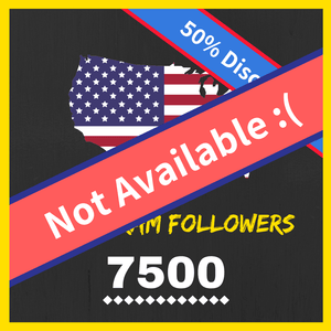 Buy 7500 American Instagram Followers
